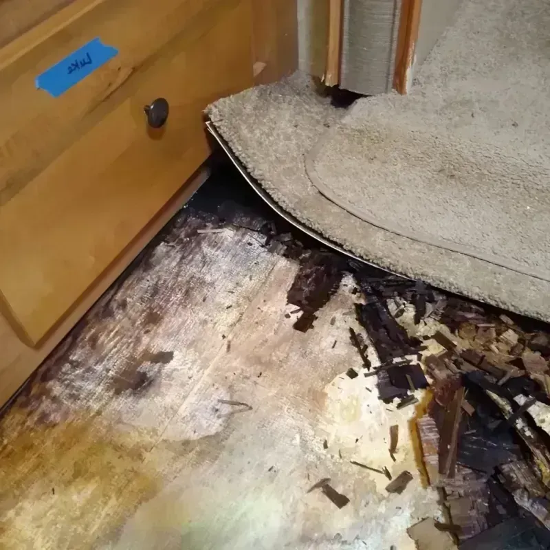 Best Wood Floor Water Damage Service in Marshall County, IA